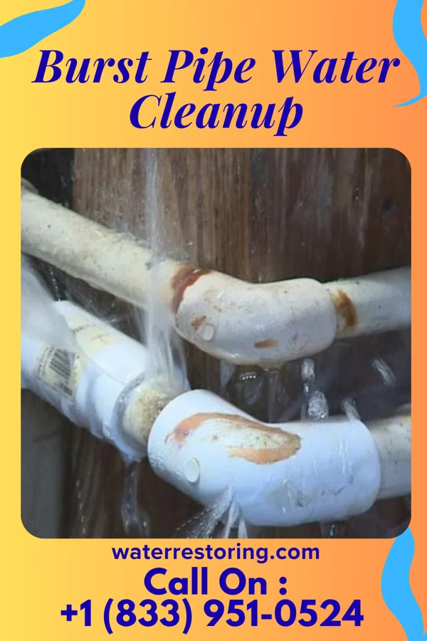 Burst Pipe Water Cleanup in Lake Delta, NY
