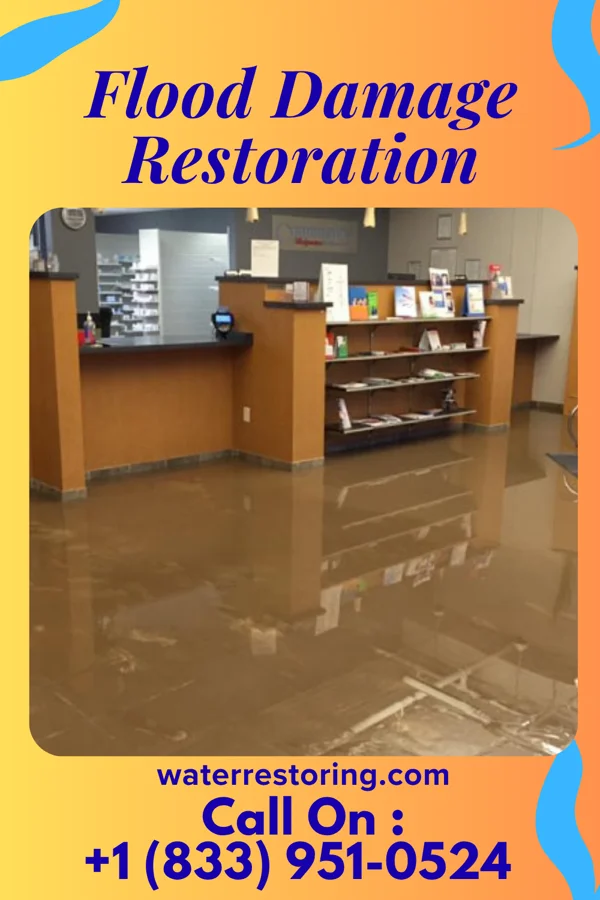 Flood Damage Restoration in Lake Delta, NY