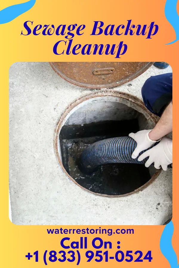 Sewage Backup Cleanup in Lake Delta, NY