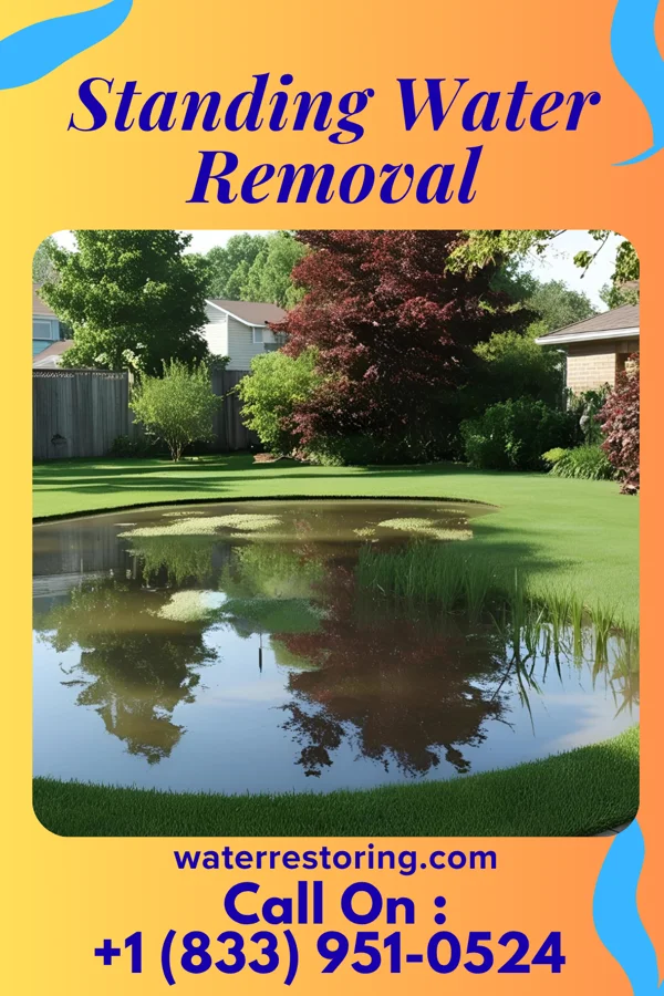 Standing Water Removal in Lake Delta, NY